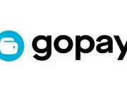 Apa Saja Batas Maksimal GoPay Later? Pahami Skema, Jenis, dan Langkah Upgrade Limit