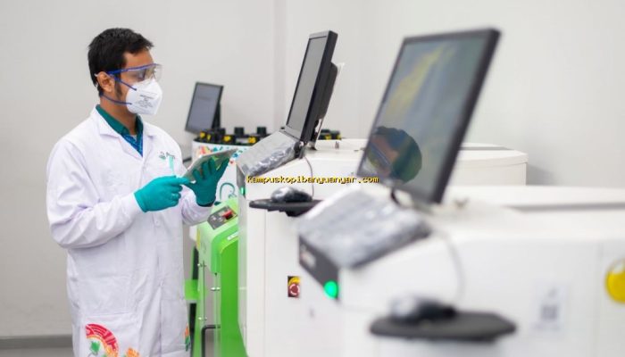 Avian Raih Laba Bersih Rp1,7 Triliun pada 2025, Bagaimana Strategi Sukses Mereka?