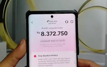 Telat Bayar Tagihan TikTok PayLater? Ini 6 Konsekuensi yang Akan Terjadi