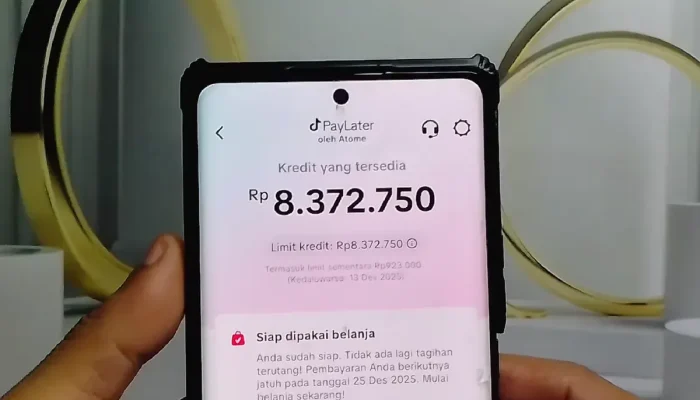 Telat Bayar Tagihan TikTok PayLater? Ini 6 Konsekuensi yang Akan Terjadi