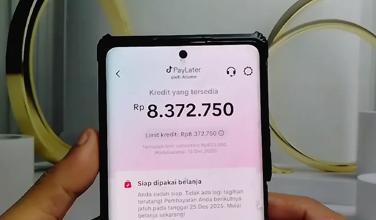Telat Bayar Tagihan TikTok PayLater? Ini 6 Konsekuensi yang Akan Terjadi