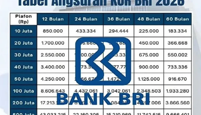 Pinjaman KUR BRI Rp 20 Juta Februari 2026: Simak Tabel Angsuran Terbarunya
