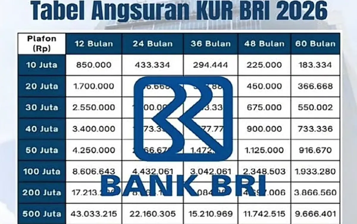 Pinjaman KUR BRI Rp 20 Juta Februari 2026: Simak Tabel Angsuran Terbarunya