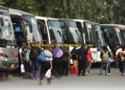 Daftar Sekarang! Link Resmi Mudik Gratis DKI Jakarta 2026 Sudah Bisa Diakses!