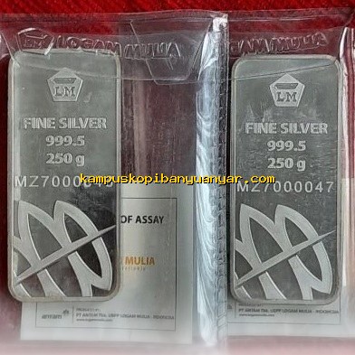 Harga Perak Antam Melonjak Tajam, Kini Tembus Rp54.250/Gram!