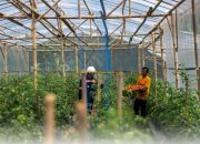 Mengapa Garitan Kalongliud Harus Jadi Inspirasi Pertanian Sirkular Terpadu?