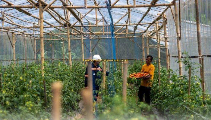 Mengapa Garitan Kalongliud Harus Jadi Inspirasi Pertanian Sirkular Terpadu?