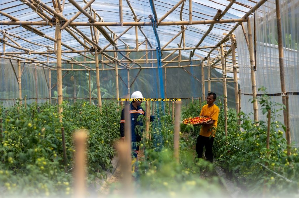 Mengapa Garitan Kalongliud Harus Jadi Inspirasi Pertanian Sirkular Terpadu?