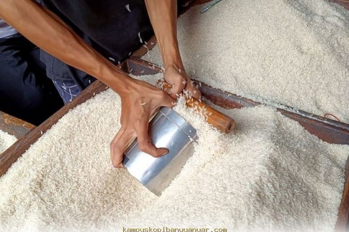 Potensi Ekspor Beras Indonesia ke Arab Saudi Dinilai Sangat Menjanjikan oleh Bulog!