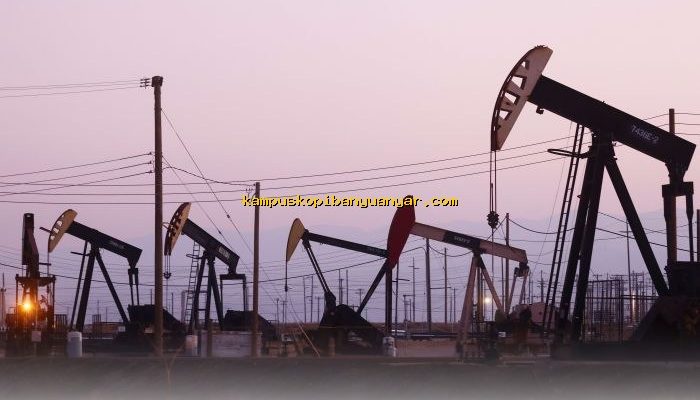 Area Blok Migas Baru yang Ditawarkan Pemerintah, Apakah Layak Diminati?