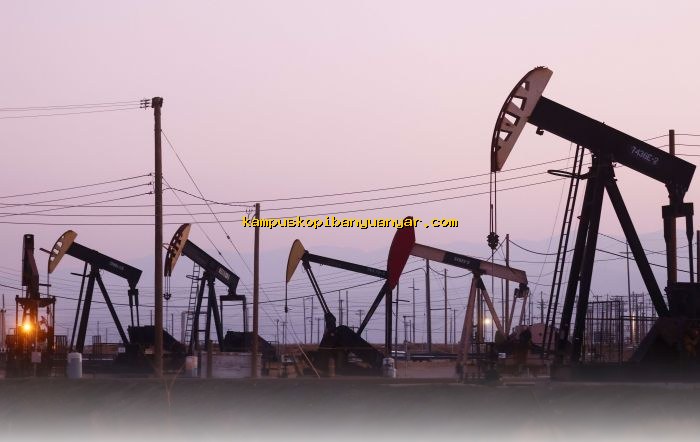 Area Blok Migas Baru yang Ditawarkan Pemerintah, Apakah Layak Diminati?