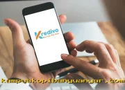 Ditolak Kredivo PayLater Terus? Coba 3 Cara Ini Agar Pinjamanmu Langsung Disetujui!