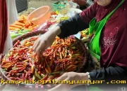 Kenaikan Harga Sembako 16 Maret 2026: Cabai, Telur, Daging, dan Minyak Goreng Meroket!