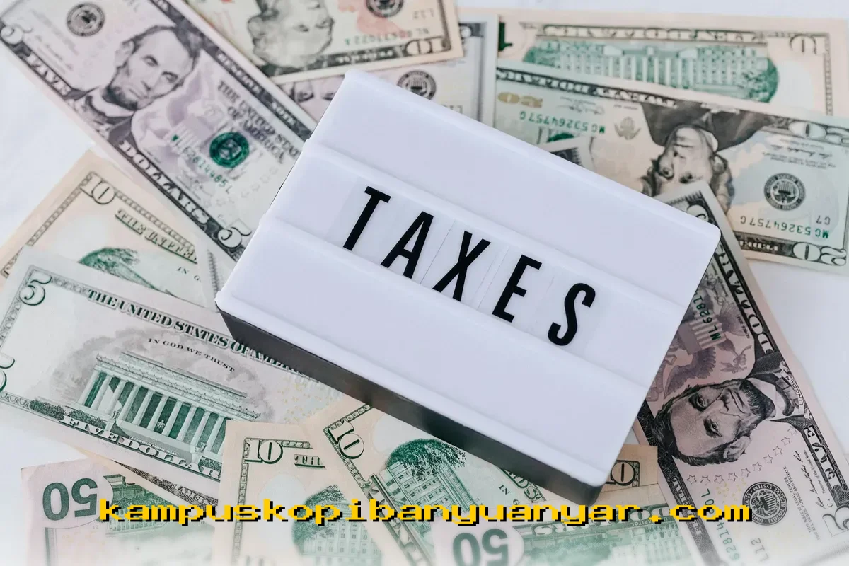 Pajak TER: Cara Mudah Hitung Potongan Gaji Bulanan dan Batas Penghasilan Kena Pajak yang Wajib Diketahui!