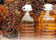 Produk Olahan Sawit dan Nikel Jadi Penyelamat Ekspor Indonesia!