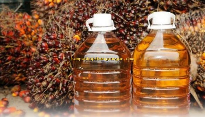 Produk Olahan Sawit dan Nikel Jadi Penyelamat Ekspor Indonesia!