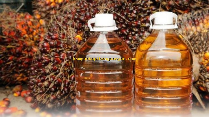 Produk Olahan Sawit dan Nikel Jadi Penyelamat Ekspor Indonesia!