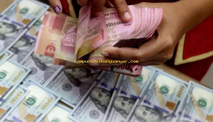 Rupiah Anjlok 13 Poin Tembus Rp16.905 di Sesi Sore Ini!