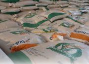 Stok Pangan Nasional Aman Hingga 324 Hari, Produksi Beras Capai 5,7 Juta Ton per Bulan!