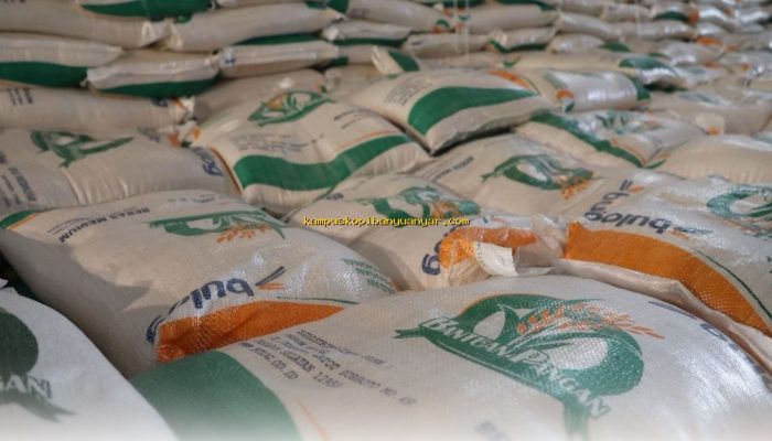 Stok Pangan Nasional Aman Hingga 324 Hari, Produksi Beras Capai 5,7 Juta Ton per Bulan!