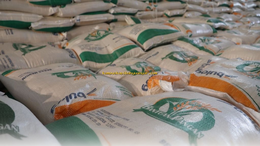 Stok Pangan Nasional Aman Hingga 324 Hari, Produksi Beras Capai 5,7 Juta Ton per Bulan!