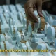 Emas Perhiasan Tetap Rp2,450 Juta per Gram Hari Ini, Apakah Ini Tanda Stabilitas Pasar?