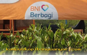 BNI Dorong Pelestarian Mangrove untuk Masa Depan Ekonomi Pesisir yang Berkelanjutan!