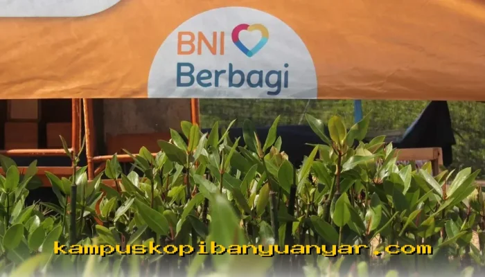 BNI Dorong Pelestarian Mangrove untuk Masa Depan Ekonomi Pesisir yang Berkelanjutan!