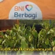 BNI Dorong Pelestarian Mangrove untuk Masa Depan Ekonomi Pesisir yang Berkelanjutan!