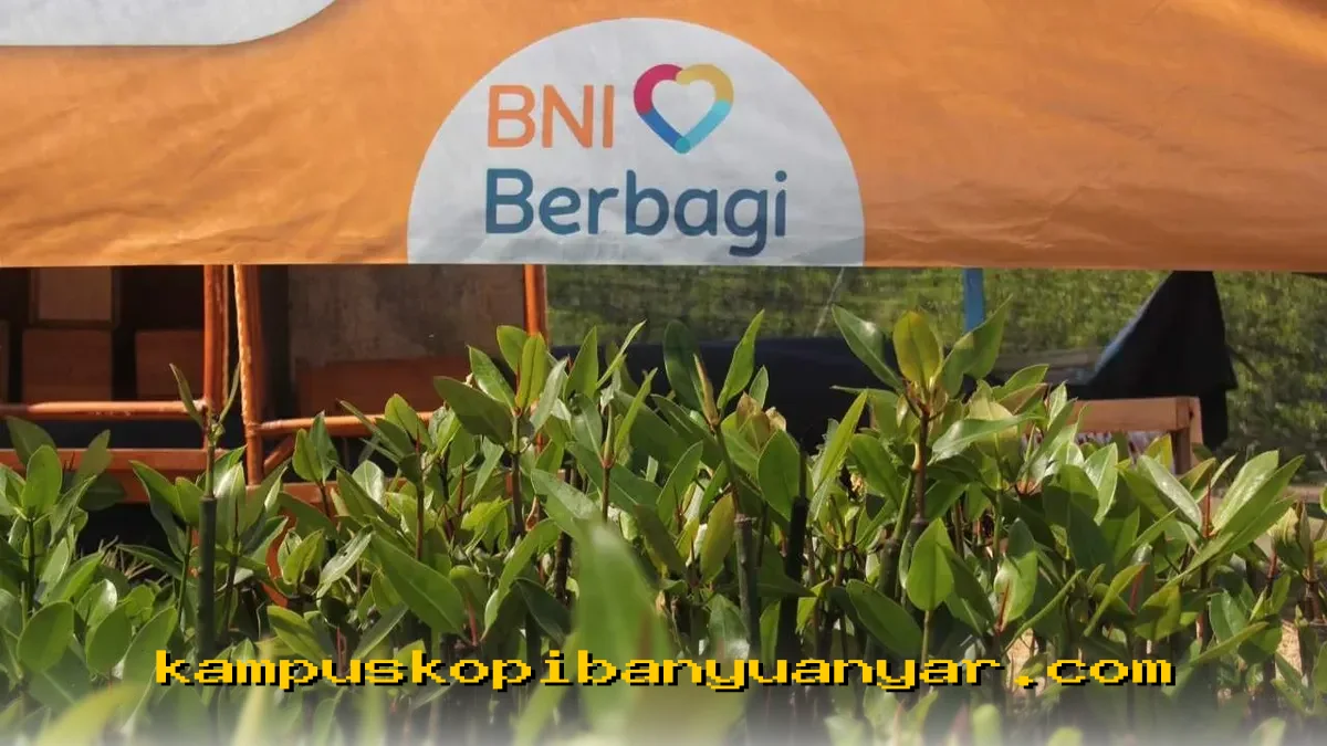 BNI Dorong Pelestarian Mangrove untuk Masa Depan Ekonomi Pesisir yang Berkelanjutan!