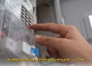 Tarif Listrik PLN 28 Juli 2026 Resmi Turun? Simak Daftar Harga Terbaru untuk Semua Golongan!