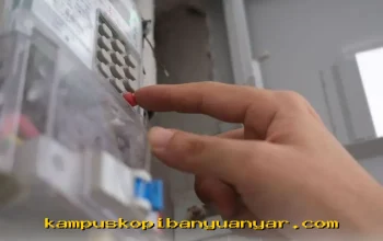 Tarif Listrik PLN 28 Juli 2026 Resmi Turun? Simak Daftar Harga Terbaru untuk Semua Golongan!
