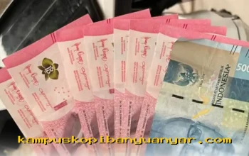 Cara Mudah Cek PKH BPNT Tahap 3 Agustus 2026, Sudah Cair atau Belum?